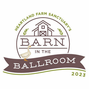 HFS 2023 Gala Auction - logo